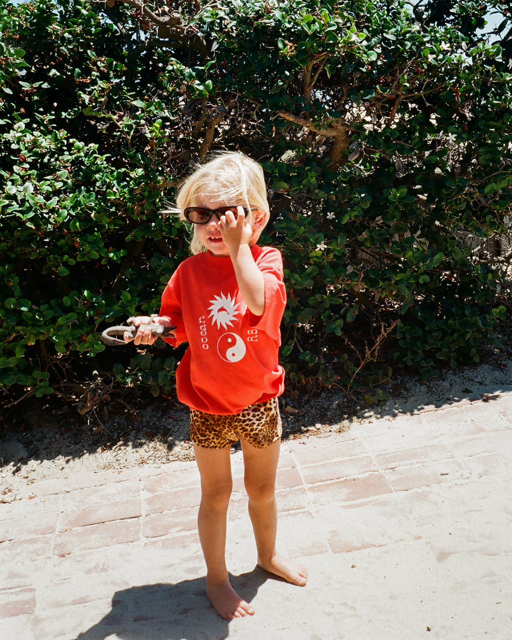 Ocean Energy Tee in Warm Red