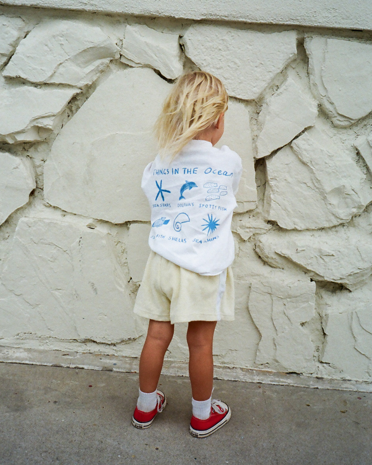 Dolphin Spotting Tee