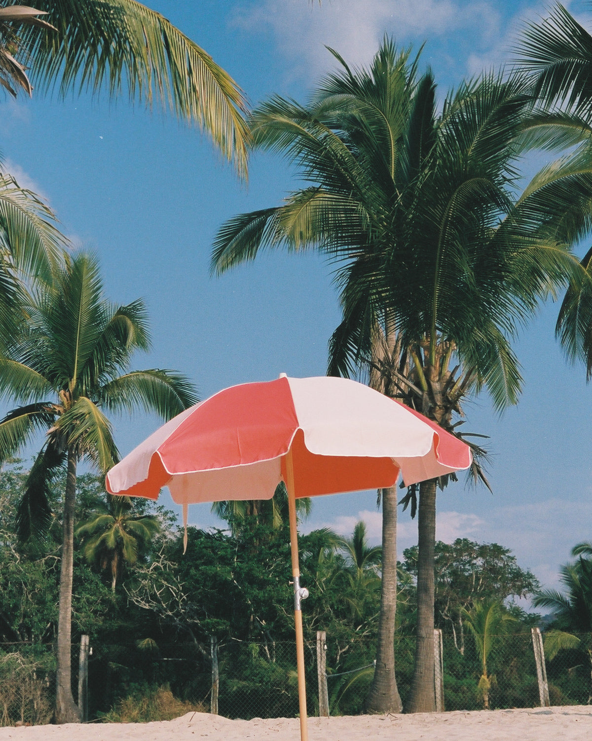 Topanga Umbrella