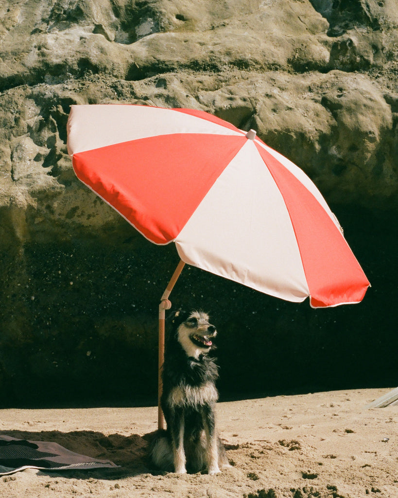 Topanga Umbrella