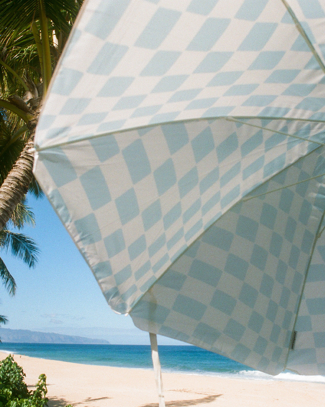 Zuma Umbrella